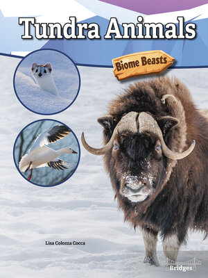 cover image of Tundra Animals